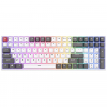 ROYAL KLUDGE RK100 White-Grey, Brown Switch, US