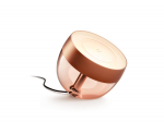 Philips Hue | Hue Iris Portable Lamp