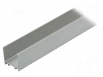 Profiles for LED modules | surface | natural | L: 1m | aluminium