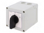 Switch: cam switch | Stabl.pos: 3 | 16A | 1-0-2 | Mounting: in housing