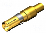 Connector: D-Sub | socket | female | straight | crimped | 2A