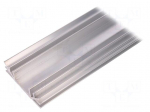 Heatsink: extruded | U | L: 1000mm | W: 70mm | H: 19mm | aluminium