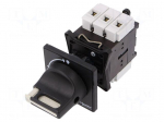 Main emergency switch-disconnector | Poles: 3 | on panel | 40A | IP65