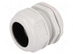Cable gland | PG48 | IP68 | Mat: polyamide | light grey | UL94V-2