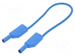Test lead | 19A | 4mm banana plug-4mm banana plug | Urated: 1kV