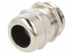 Cable gland | with earthing | PG21 | IP68 | brass | SKINTOP&reg;