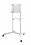 NEWSTAR MOBILE FLAT SCREEN FLOOR STAND (HEIGHT: 160 CM) 37-70" WHITE