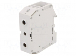 Splice terminal: rail | Entrelec | 1kV | for DIN rail mounting | grey