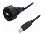 Cable | USB Buccaneer | USB A plug,USB B plug | 2m | IP68