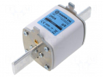 Fuse: fuse | industrial | 200A | 800VAC | gS | NH2