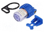 Filter housing | max.8bar | 2&divide;45&deg;C | Size: 5"