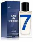 Iceberg Eau de Iceberg EDT 100ml