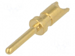 Contact | male | 24AWG&divide;20AWG | Buccaneer 400,Buccaneer 4000 | 10A