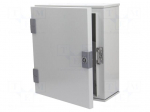 Enclosure: wall mounting | X: 300mm | Y: 350mm | Z: 160mm | orion+ | steel