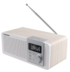 Portable radio with bluetooth Blaupunkt PP14BT