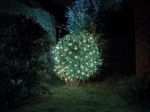 Smart Netlight LED - 1.2 x 1.2 m - 60 white lamps - green wire - modulator - batteries not provided