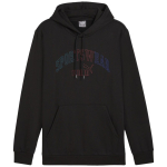 Puma Ess+ Logo LAB Gradient Hoodie FL black 681775 01 L