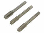 Tools set: taps | Holder: square,hand | L: 70mm | Kit: taps | 5.5mm
