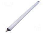 Lamp: machine light | 13W | 24VDC | L: 520mm | 1.54A | 60000h | 120&deg; | IP54