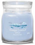 Yankee Candle Ocean Air Candle 368 g