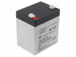 Re-battery: acid-lead | 12V | 5Ah | AGM | maintenance-free