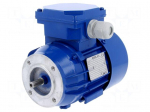 Motor: AC | 60W | 230/400VAC | 1400rpm | continuous operation S1 | IP54