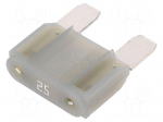 Fuse: fuse | 25A | 32V | automotive | 29mm | MAXI