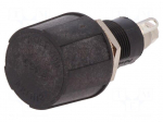 Fuse holder | cylindrical fuses | 5x20mm | 250V | Mounting: on panel