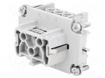 Connector: HDC | contact insert | female | C146 | PIN: 6 | 6+PE | size E6