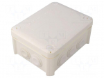Enclosure: junction box | X: 116mm | Y: 150mm | Z: 67mm | IP66 | white
