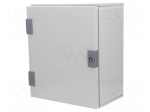 Enclosure: wall mounting | X: 300mm | Y: 350mm | Z: 200mm | orion+ | steel