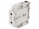Splice terminal: rail | Entrelec | 1kV | for DIN rail mounting | grey
