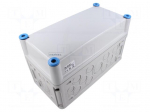 Enclosure: multipurpose | X: 150mm | Y: 300mm | Z: 170mm | Mi | light grey