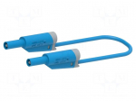 Test lead | 12A | banana plug 4mm,both sides | Urated: 1kV | Len: 1m