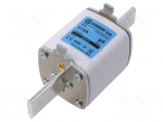 Fuse: fuse | 315A | 800VAC | gS | industrial | NH2