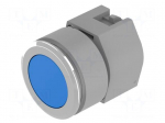 Switch: push-button | 30mm | Stabl.pos: 1 | blue | none | IP65 | 04 | Pos: 2