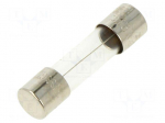 Fuse: fuse | 3.15A | 250VAC | medium time-lag | cylindrical,glass