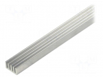 Heatsink: extruded | grilled | natural | L: 1000mm | W: 19mm | H: 10mm