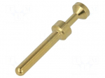 Contact | male | 0.14&divide;0.37mm2 | Han E | gold-plated | crimped | 16A