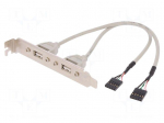 Adapter | USB 2.0,brackets on slot | nickel plated | 250mm | beige