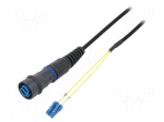 Connector: fiber optic | patchcord | PIN: 2 | bayonet | Buccaneer 6000