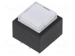 Switch: push-button | Pos: 2 | DPDT | 0.5A/25VDC | ON-(ON) | Illumin: LED