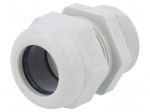Cable gland | with long thread | PG29 | IP68 | polyamide | light grey