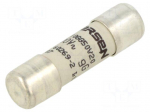 Fuse: fuse | 20A | 500VAC | gG | ceramic | 10x38mm