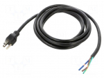 Cable | 3x14AWG | NEMA 5-15 (B) plug,wires | PVC | 3m | black | 15A | 125V