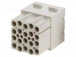 Connector: HDC | module | female | 16A | 500V | Han-Modular&reg; | PIN: 20
