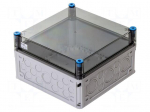 Enclosure: multipurpose | X: 300mm | Y: 300mm | Z: 170mm | Mi | light grey
