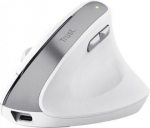 Computer mouse Trust  MOUSE USB OPTICAL WRL BAYO II/ERGO WHT 25398