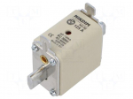 Fuse: fuse | 125A | 500VAC | gG | industrial | NH00