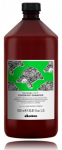 Davines Natural Tech Renewing Shampoo 1000 ml
